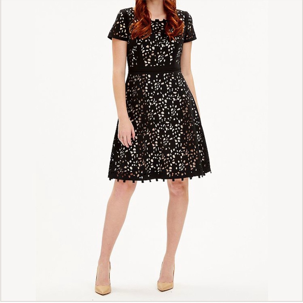 Shani black and tan cutout dress
